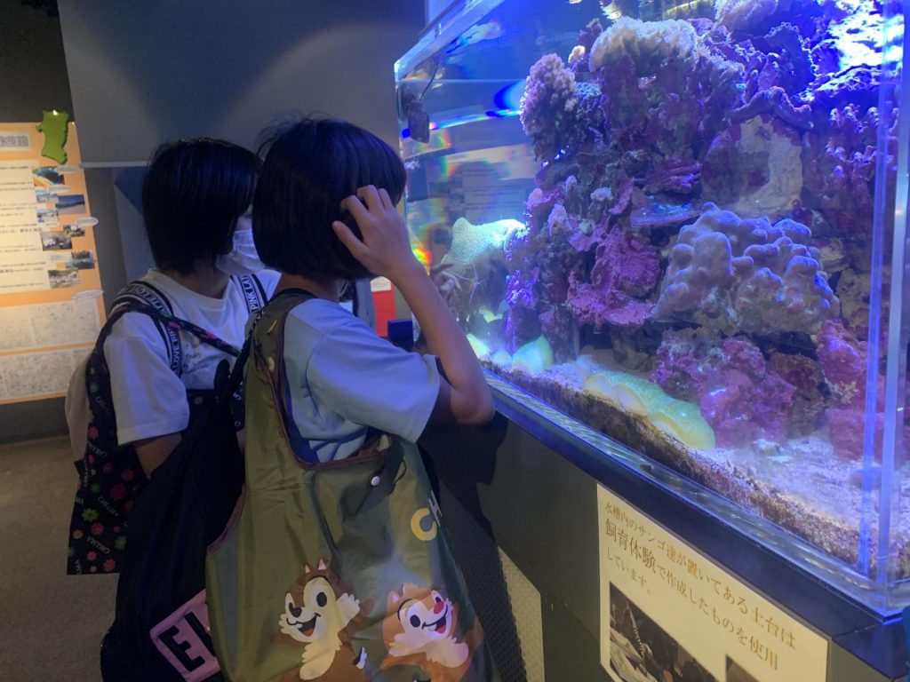 写真：男鹿水族館の見学の様子4