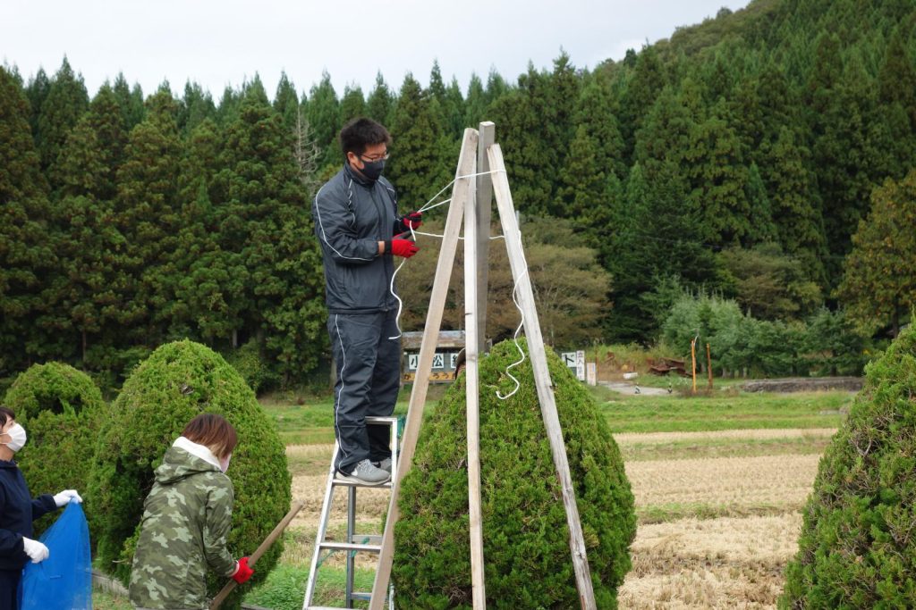 写真：冬囲いの様子2