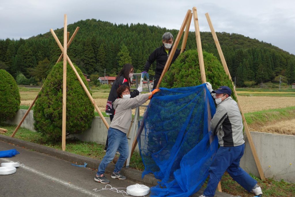 写真：冬囲いの様子1