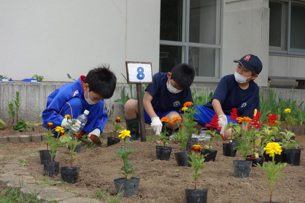 写真：花壇の花植えを行う児童2