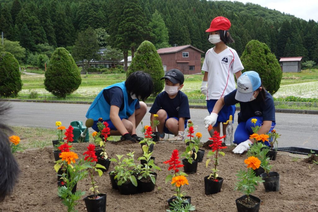 写真：花壇の花植えを行う児童3