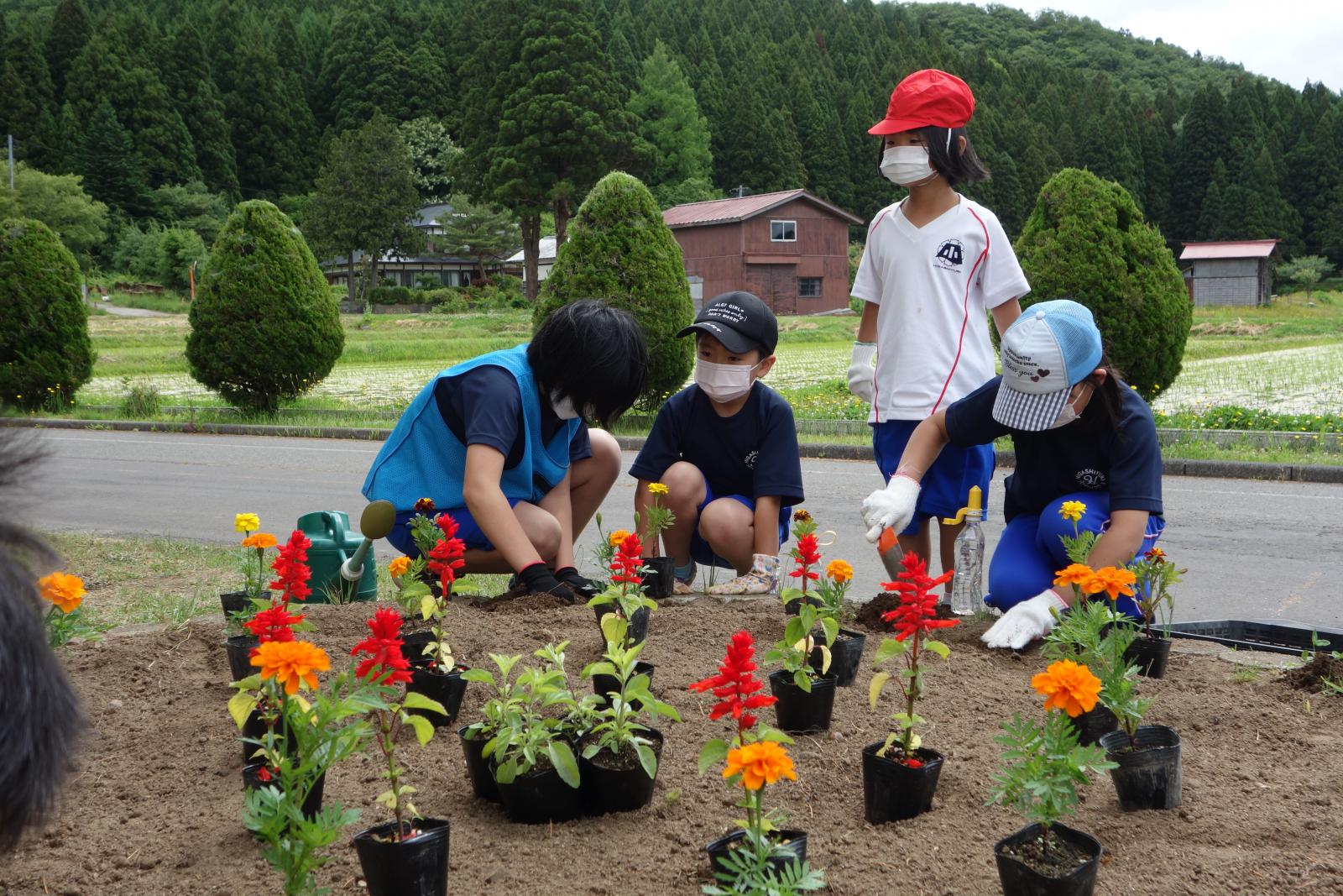 写真：花壇の花植えを行う児童