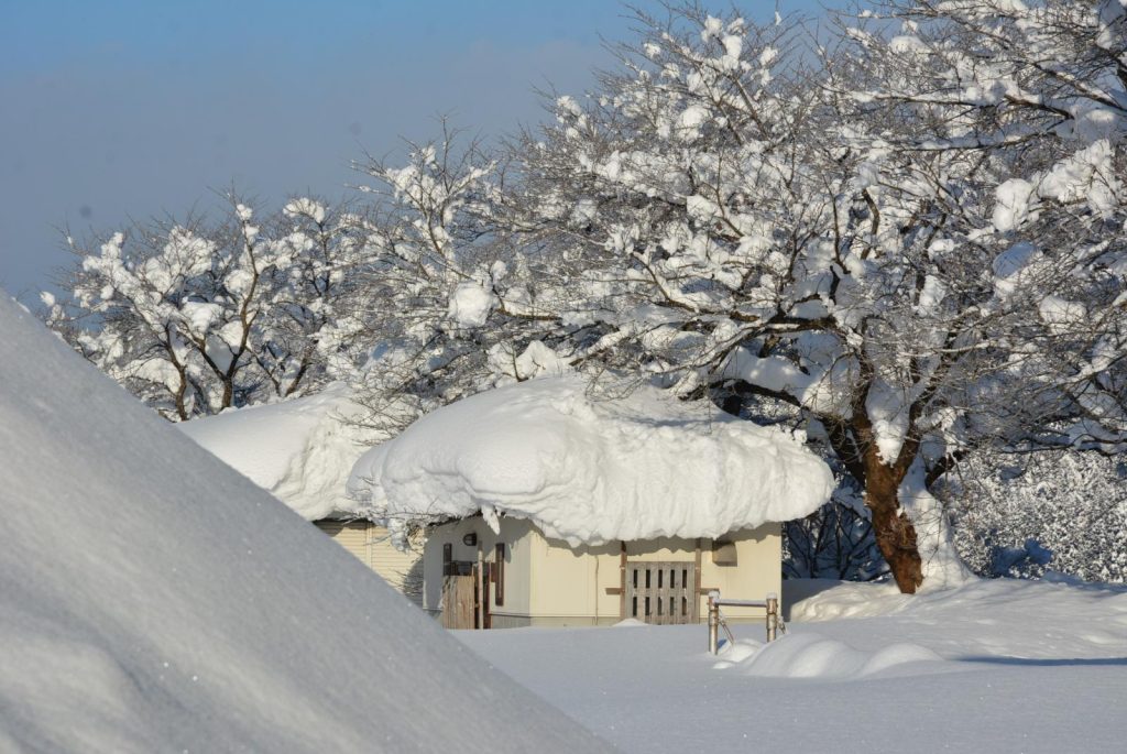 写真：東屋周辺の積雪の様子