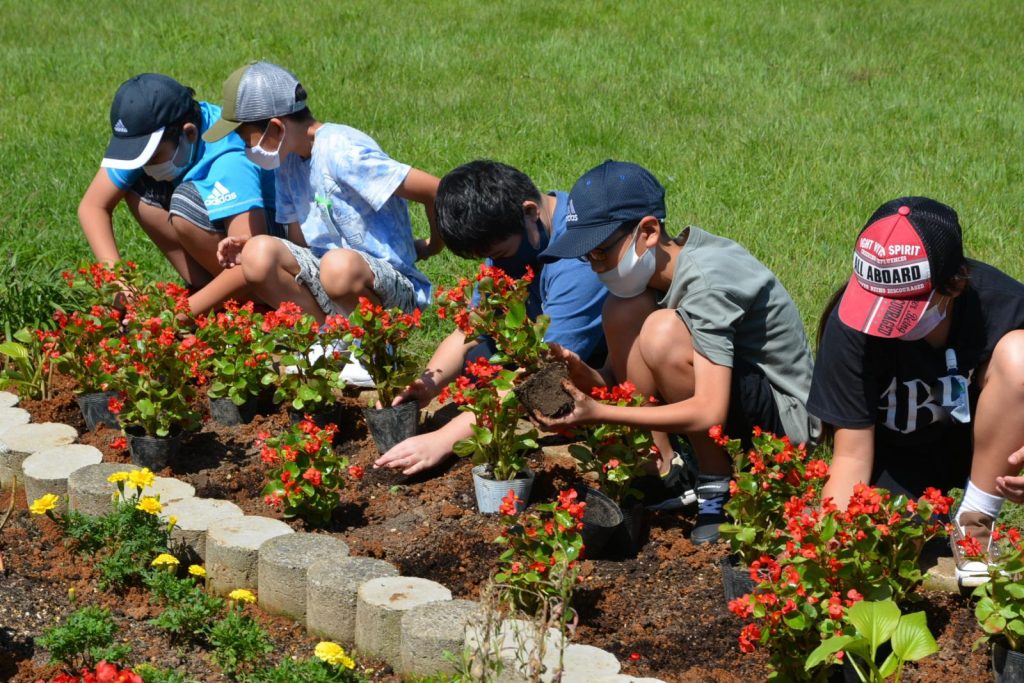 写真：６年生が花を植える様子2