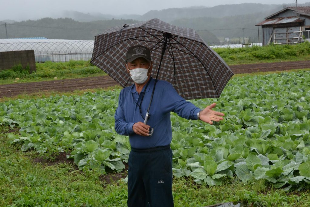 写真：地域の野菜作りに携わる金子さん