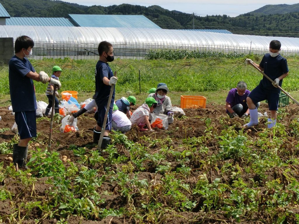 写真：職場体験の様子4