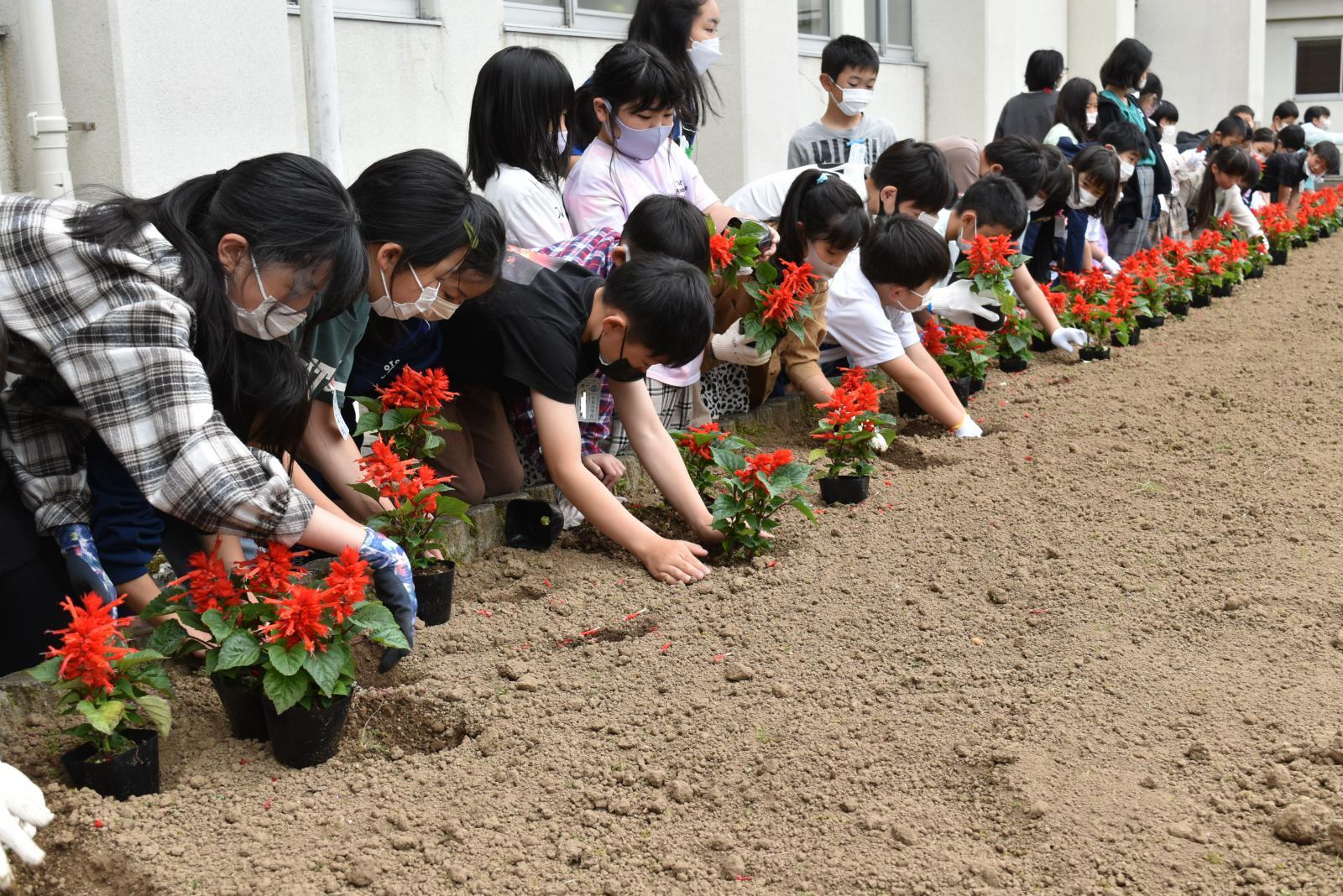 写真：たてわり班での花植えの様子