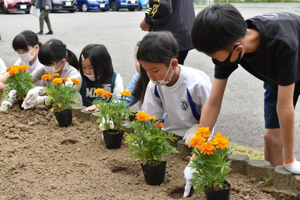 写真：たてわり班での花植えの様子2