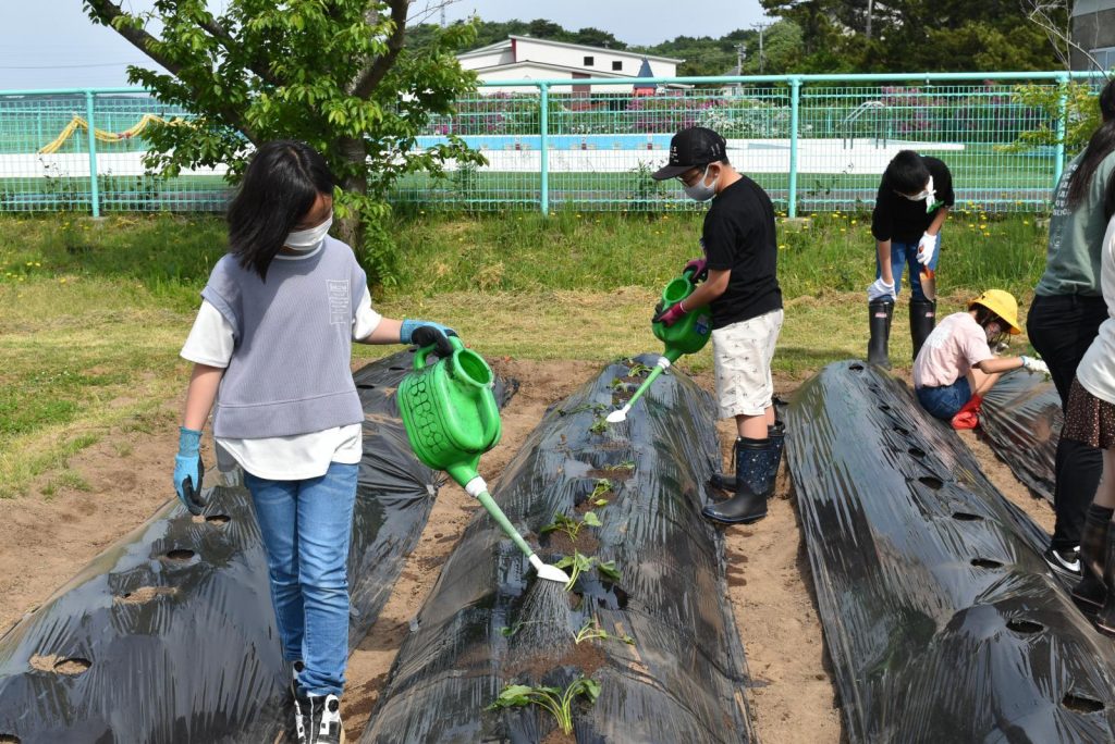 写真：サツマイモを植えの様子1