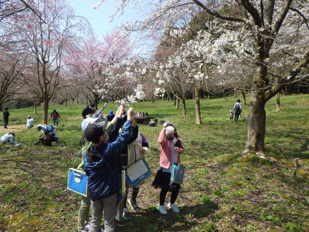 写真:２，３年生校外学習の様子2