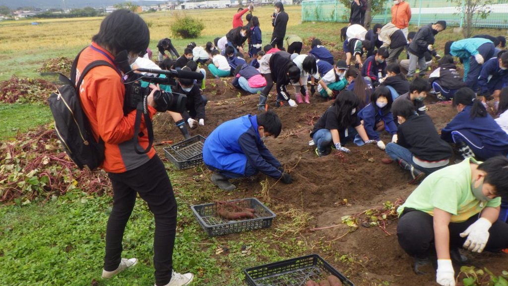 写真：イモ堀りの様子3