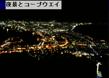写真：函館の夜景
